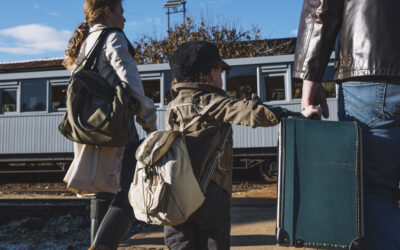 Tema 173: Estrangeiros refugiados no Brasil têm direito ao BPC